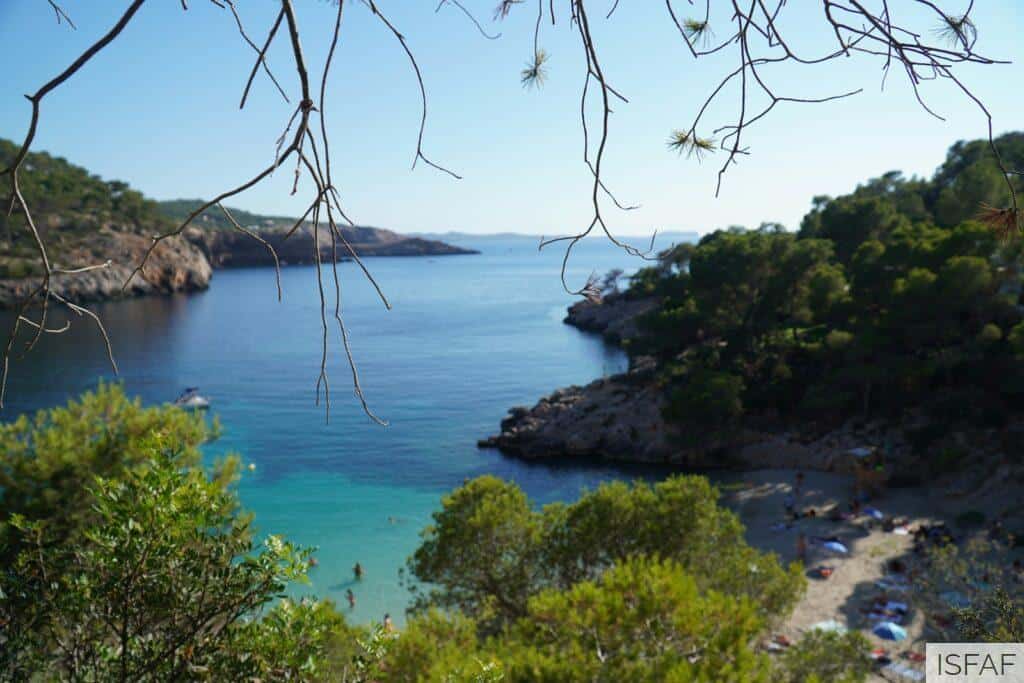 viajar a Ibiza en grupo