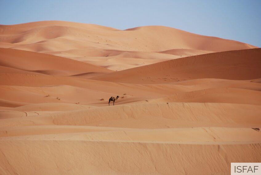 Imprescindibles a visitar en Marruecos