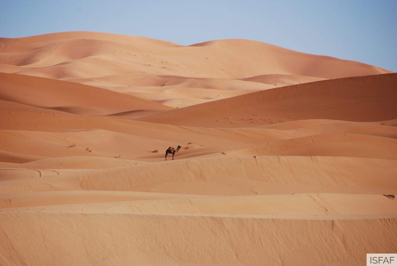 Imprescindibles a visitar en Marruecos